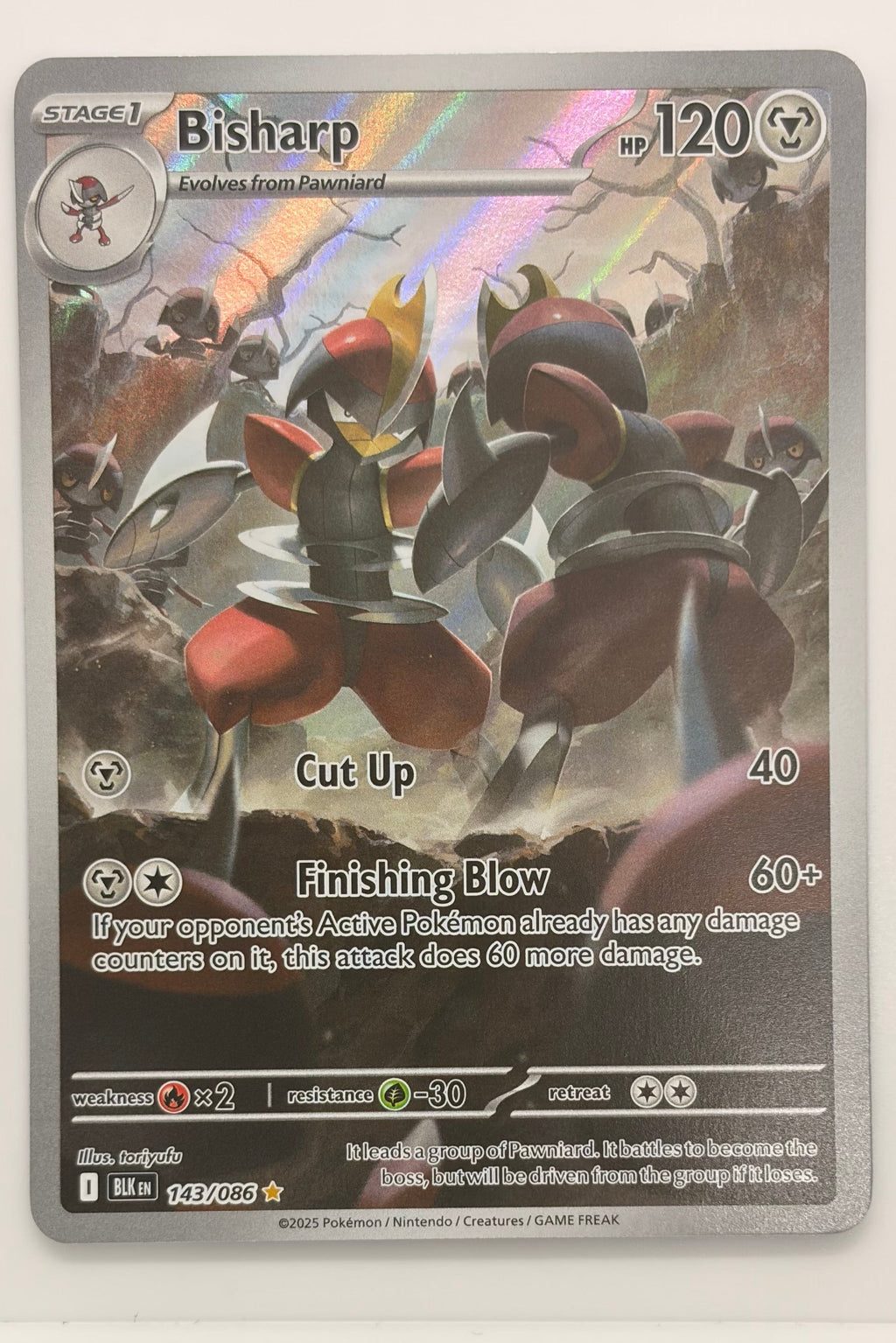 143/086 Bisharp - Illustration Rare